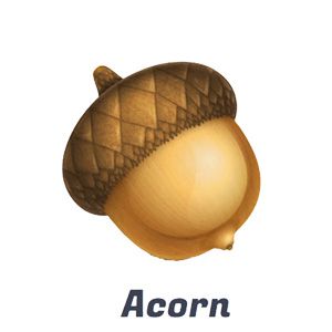 Acorn Photo Editor free download