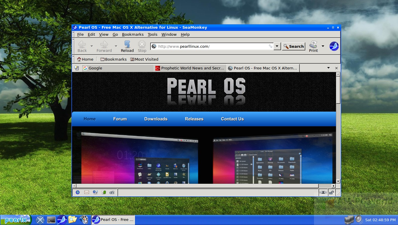 Pearl Linux OS 4.0 Review