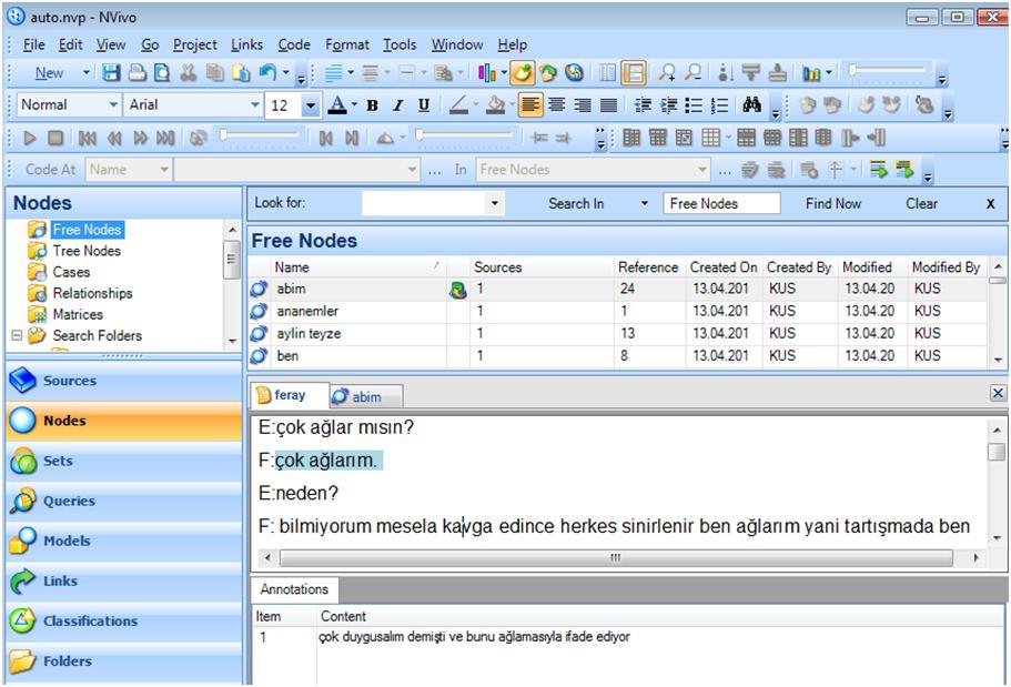 software nvivo