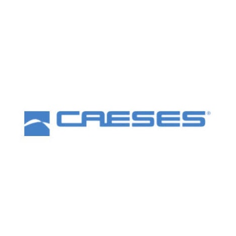 Download CAESES 4.3.1 Free
