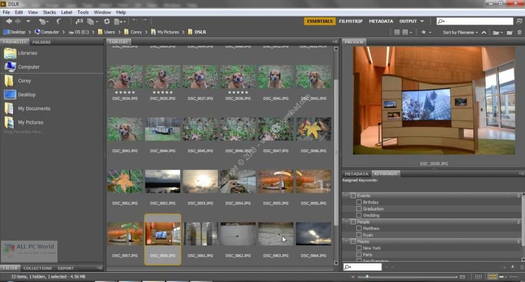 Adobe Bridge CC 2019 v9.0 Free Download