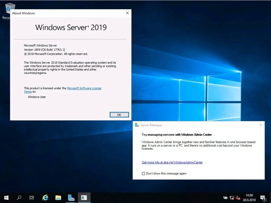 Windows Server 2019 X64 Standard ESD en-US MARCH 2020 full Setup Free Download