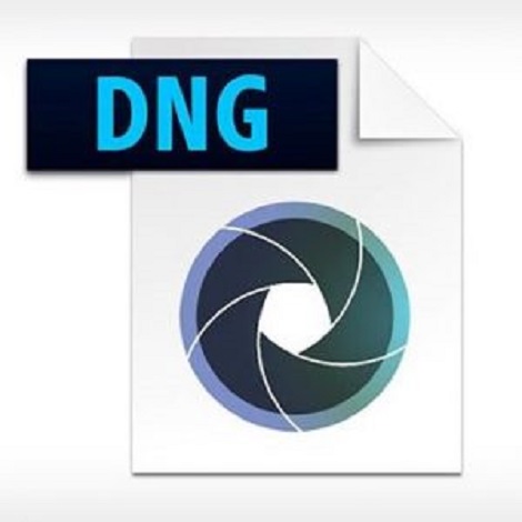 Download Adobe DNG Converter 12.4