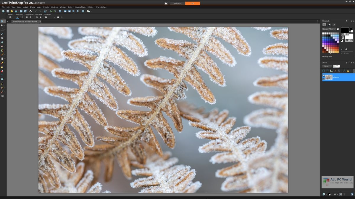 Corel Pro 2021 Free Download ALLPCWorld
