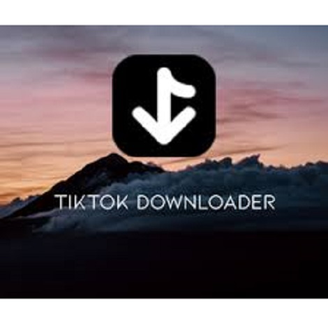 Download TikTok Downloader 3.0