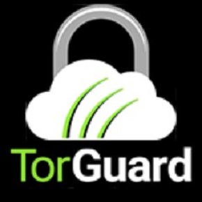 TorGuard 4 Latest Version Free Download