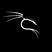 Kali Linux 2021.2 Free Download