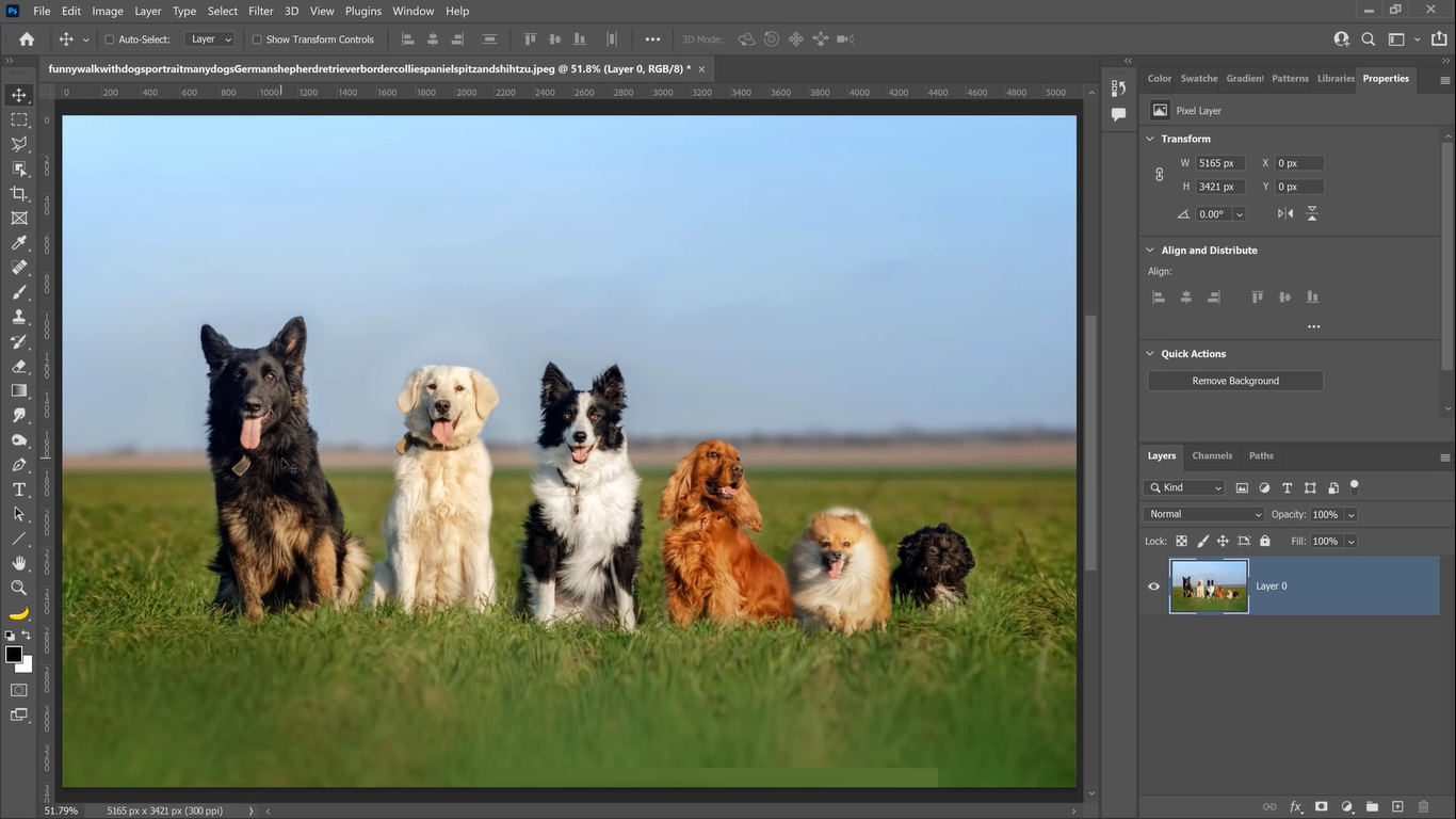 Adobe Photoshop 2022 Free Download