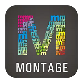 WidsMob Montage for Free Download