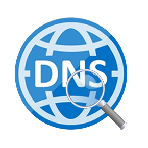 DNS CACHE VIEWER Free Download