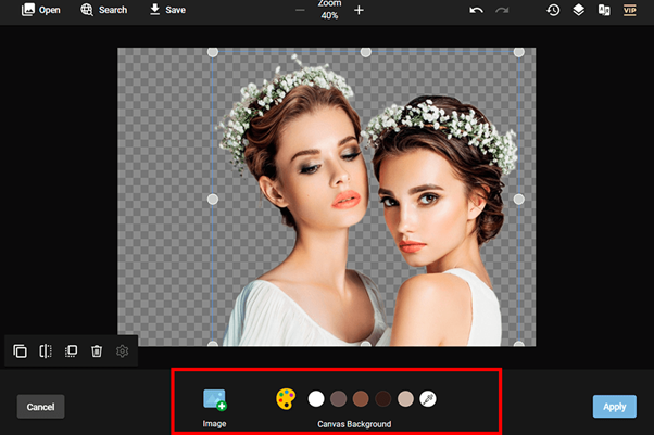 PhotoKit Background Remover Tool
