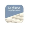 Download Karanyi Sounds LoFi Keys Free