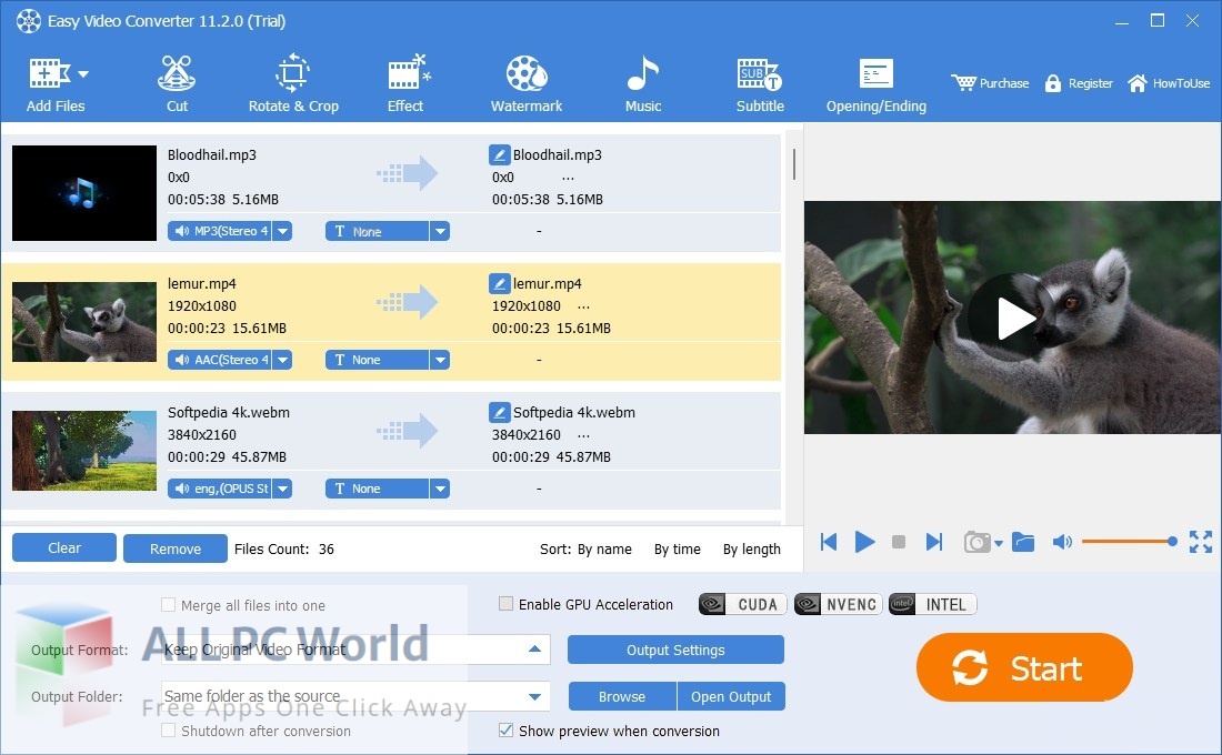Easy Video Converter 11 Free Download