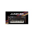 Download Roland Cloud JUNO-60 Free