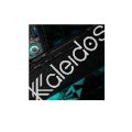 Download 2CAUDIO Kaleidoscope Free