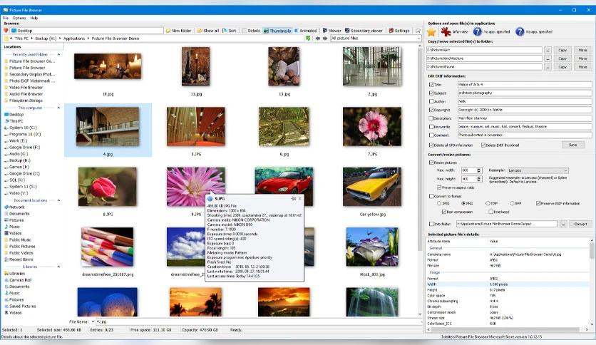 3delite Picture File Browser Download