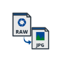 Download Easy2Convert RAW to JPG Pro 3 Free
