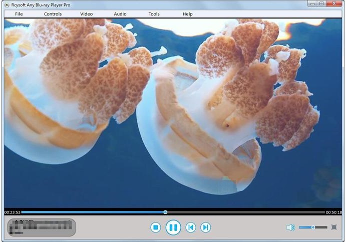 Rcysoft Any Blu-ray Player Pro 13 Download