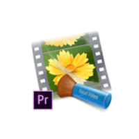 Download ABSoft Neat Video Pro 5 Free