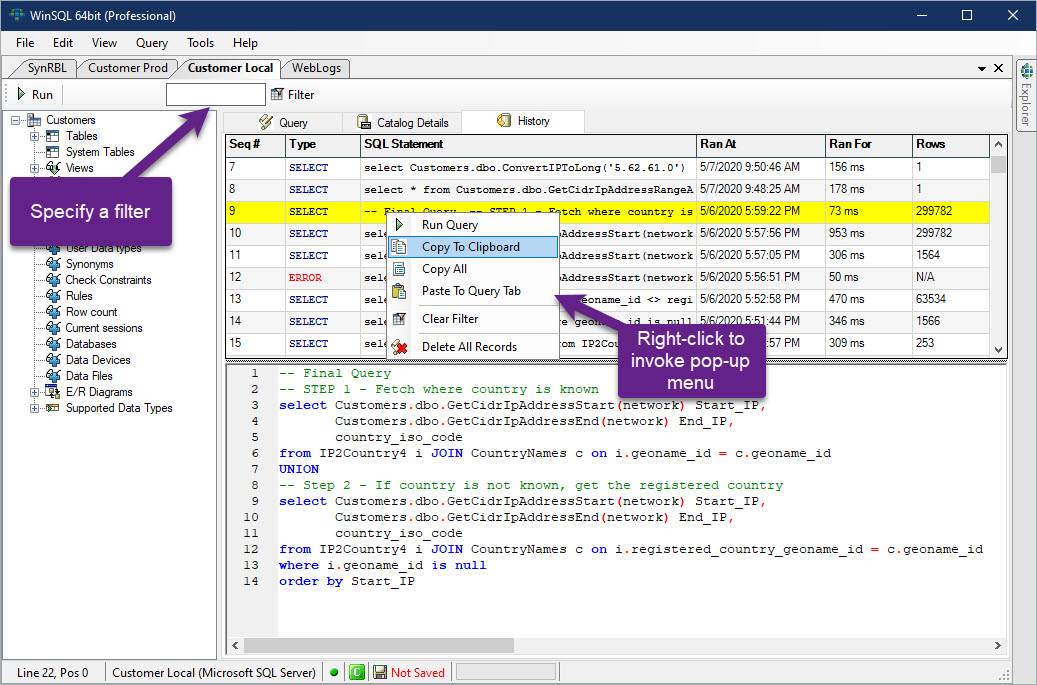 Synametrics Technologies WinSQL Free Download