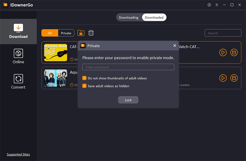 iDownerGo Free Download