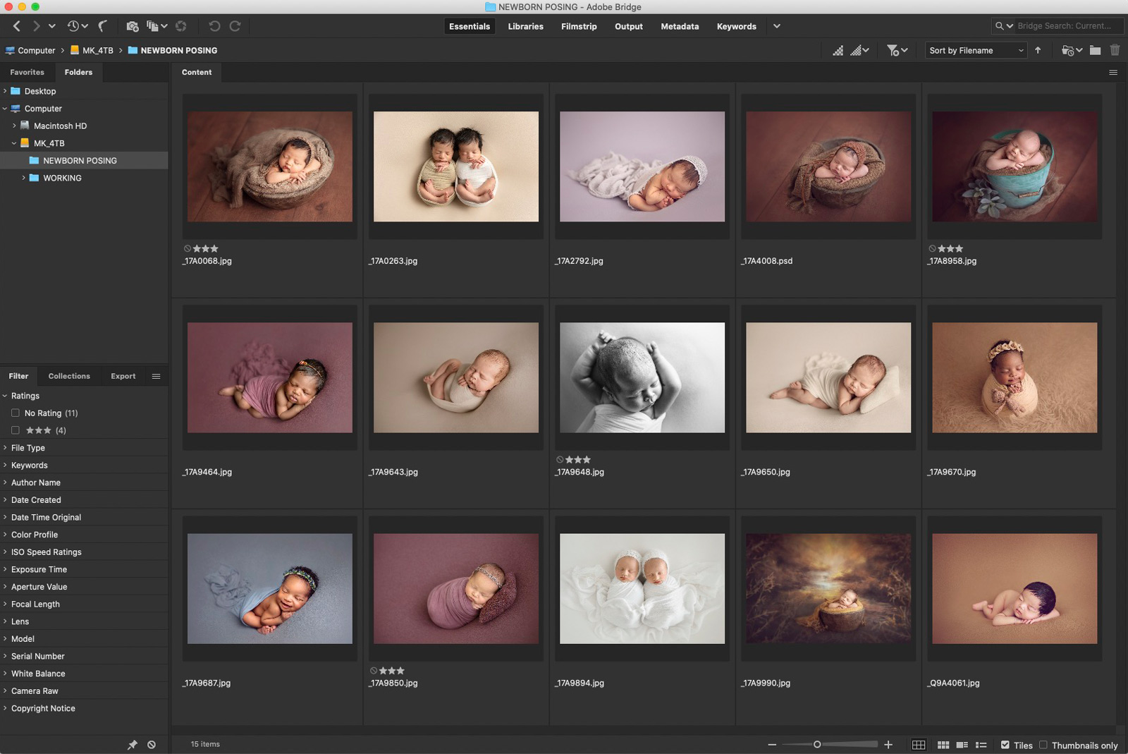 Download Adobe Bridge Free