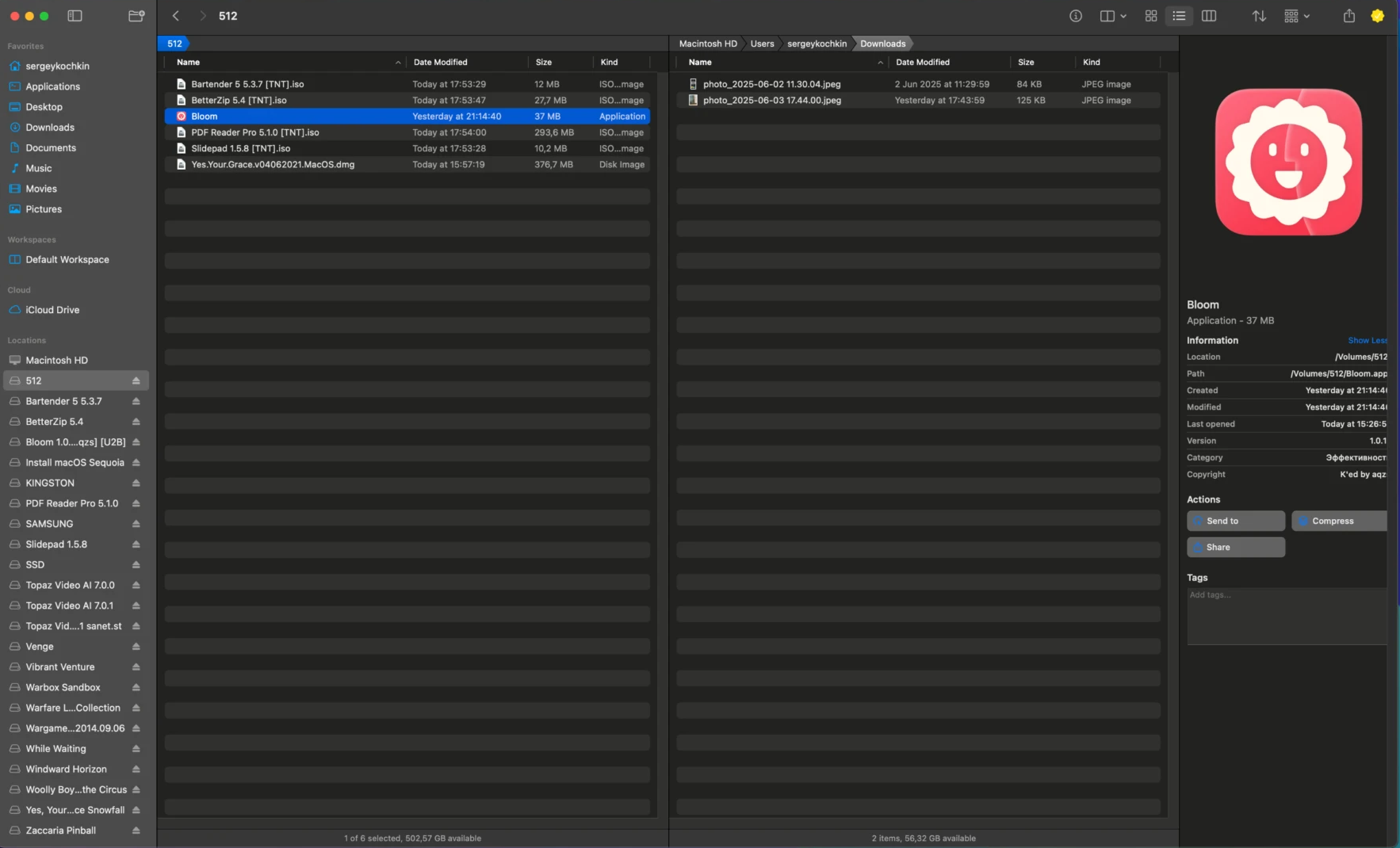 Download Bloom Free