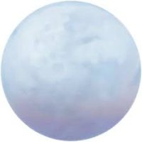 Pale Moon Free Download
